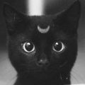 Avatar-Foto